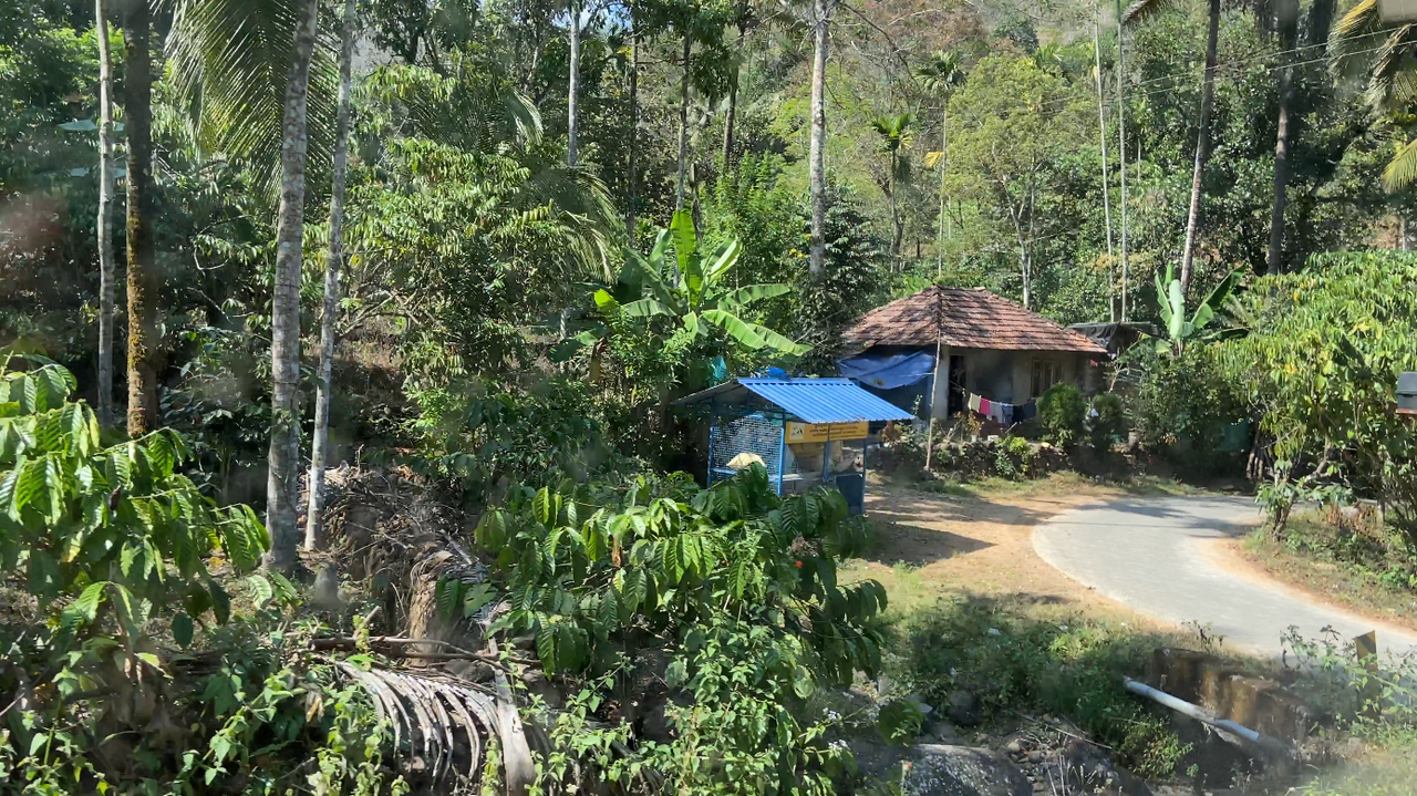 서고츠 자연보호구역에 위치한 칸남파디(Kannampady) 산악부족 마을 농가 / 사진=이미옥